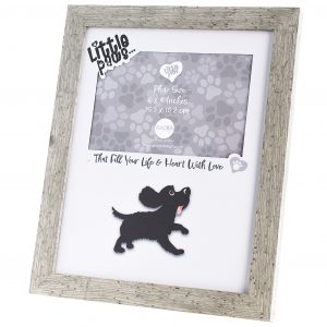 LP Frame Cocker Spaniel B2B