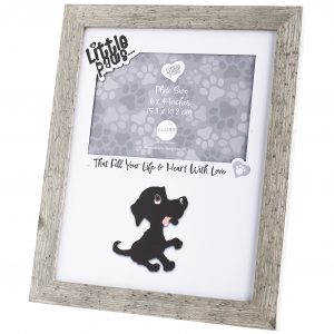 LP Frame Labrador B2B