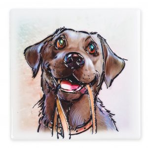 Coaster Black Labrador B2B