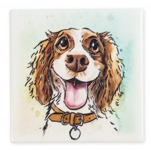 Coaster Springer Spaniel B2B