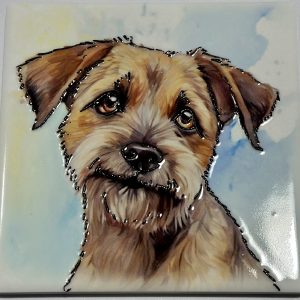 Border Terrier