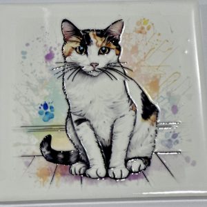 Calico Cat