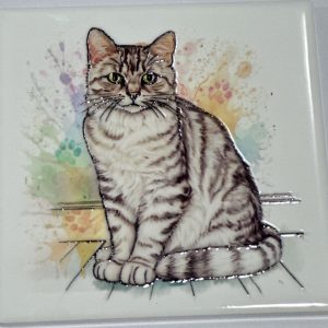 Silver Tabby Cat