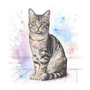 5 Tabby Cat Coloured Base