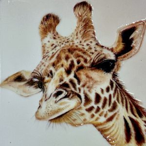 Giraffe CLose Up