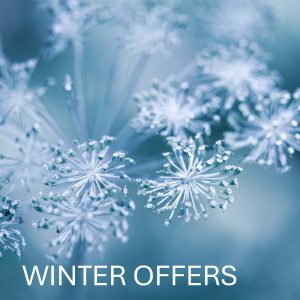 Winter Offers