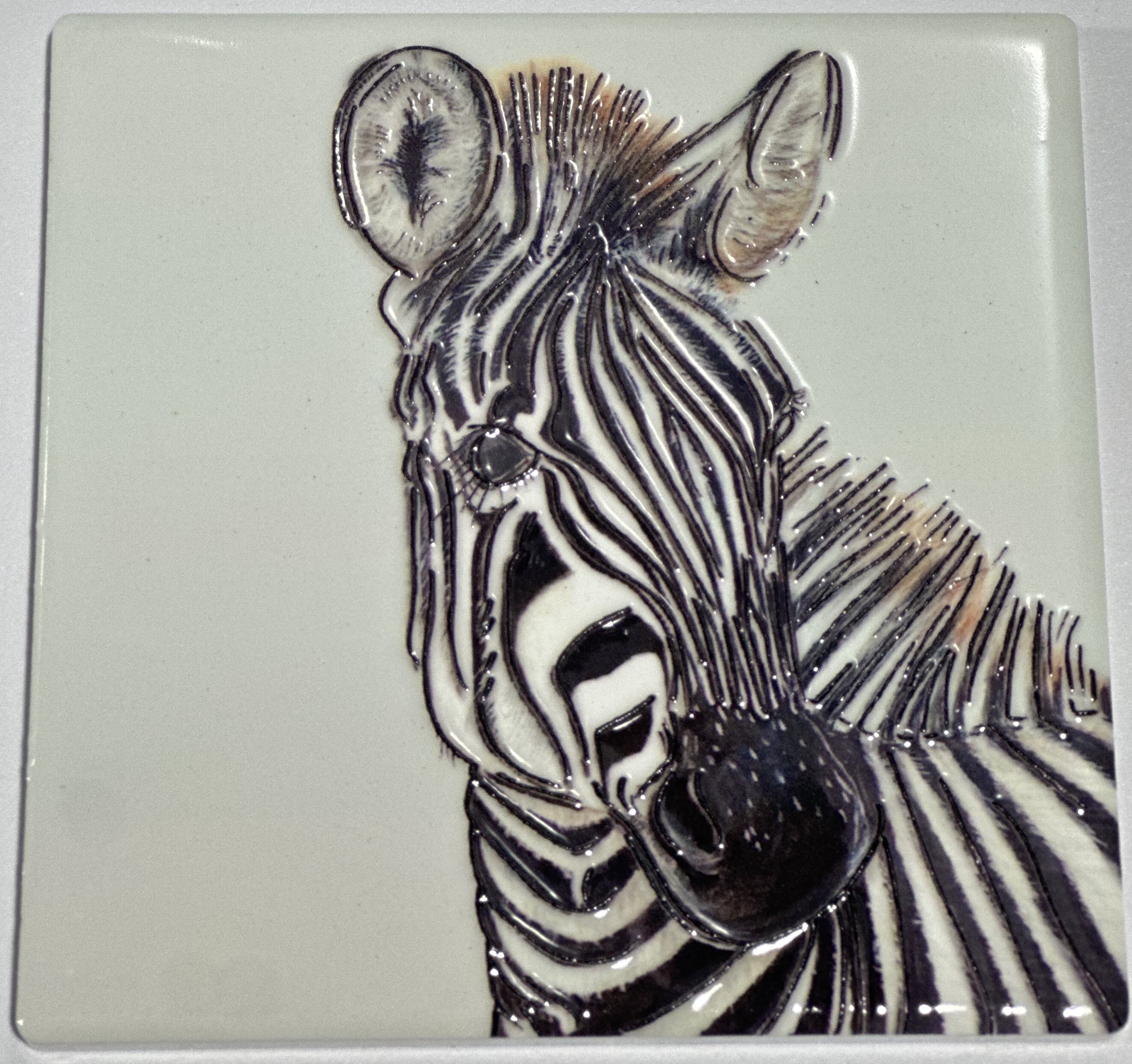 Wildlife Coasters