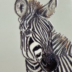 Zebra Close Up